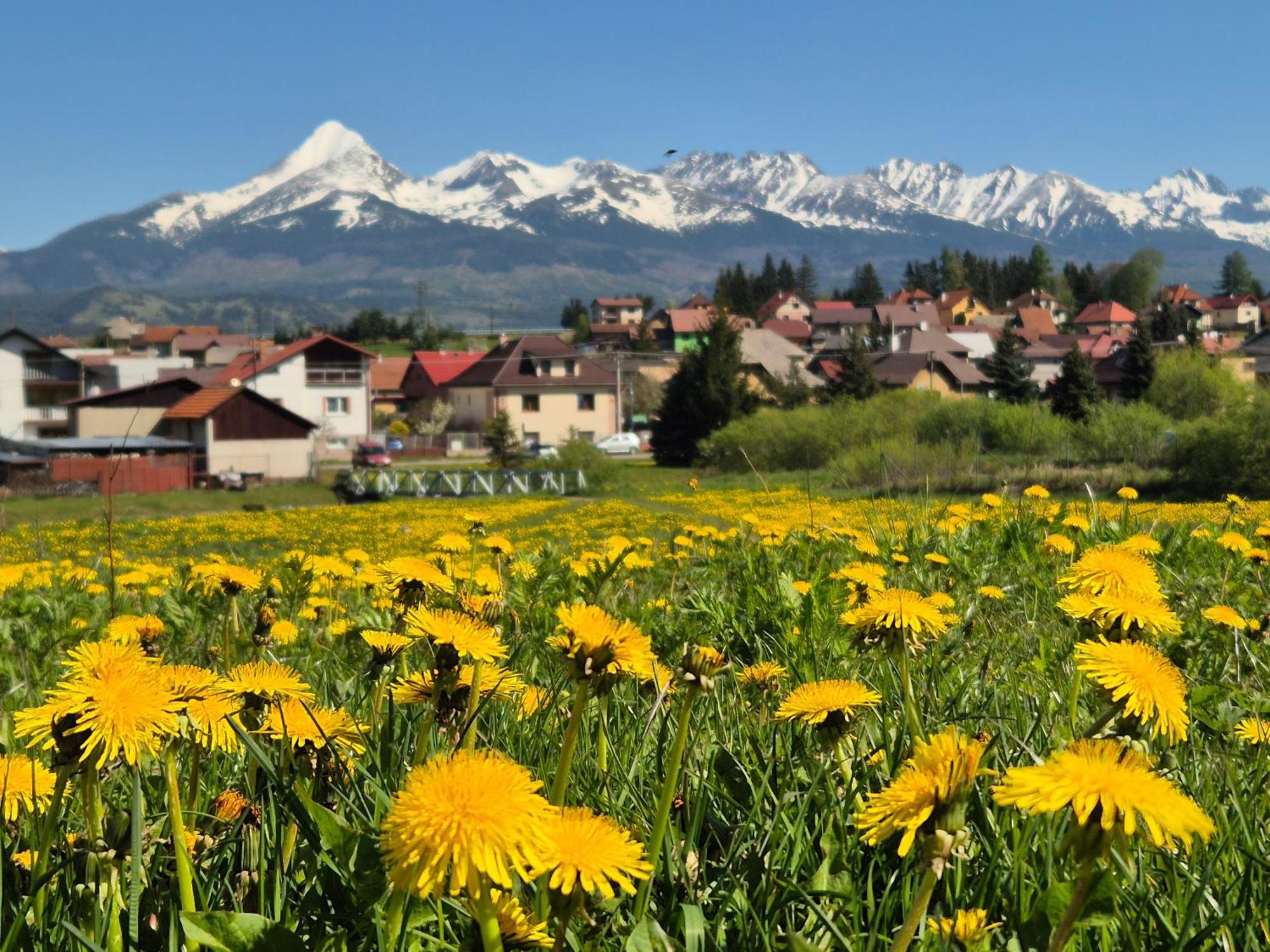 Apartmany Anicka Vo Vazci Važec Buitenkant foto